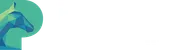 Palomino Consulting