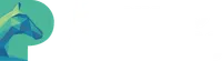 Palomino Consulting